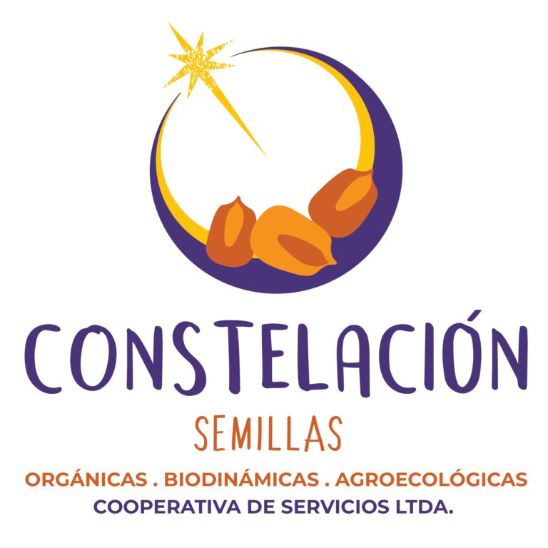 Constelacion Logo 1 page 0001 768x768