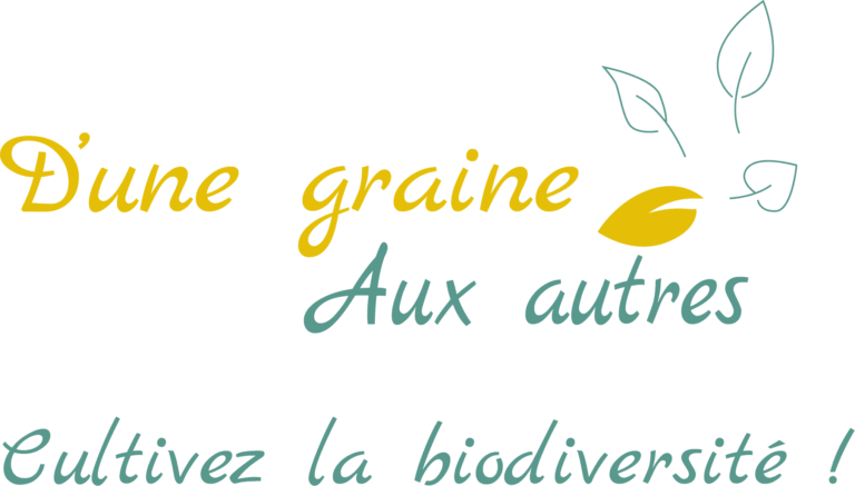 logo final 768x437