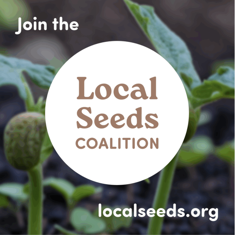 Screenshot 2025 10 31 at 6.45.27 AM 768x767