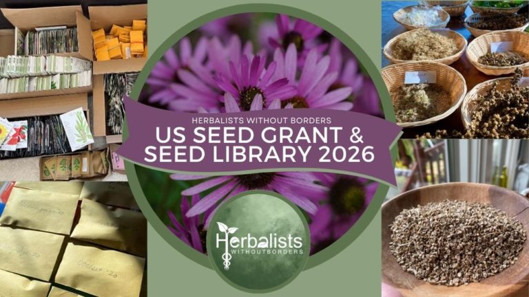 HWB Seed Grant Collage 768x432